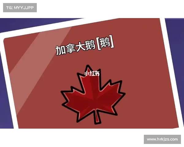 如何利用新职业技能巧妙掌控鹅鸭杀游戏的胜局策略与技巧分析 如何利用新职业技能巧妙掌控鹅鸭杀游戏的胜局策略与技巧分析