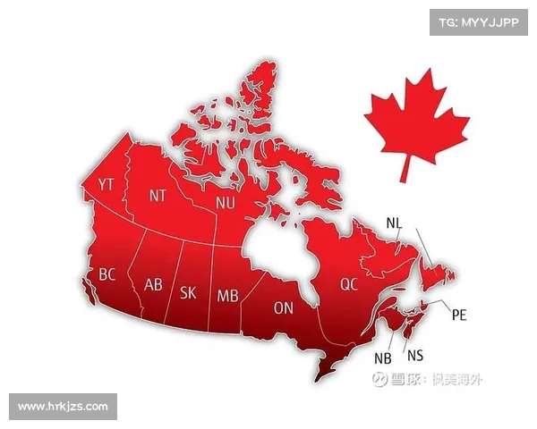 如何解决米兰支付约维奇薪水问题并确保财政合规性